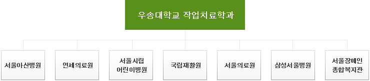 우송대학교 작업치료학과 (서울아산병원, 연세의료원, 서울 시립 어린이병원, 국립재활원, 서울의료원, 삼성서울병원, 성루 장애인 종합복지관)